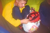 Вовк